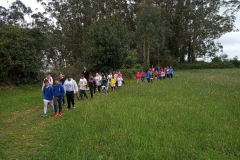 IMG_20190502_120310