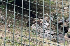 IMG-20230511-WA0005