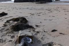 IMG-20260611-WA0144