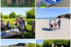 IMG-20260611-WA0150