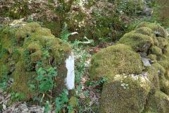 IMG-20260601-WA0037